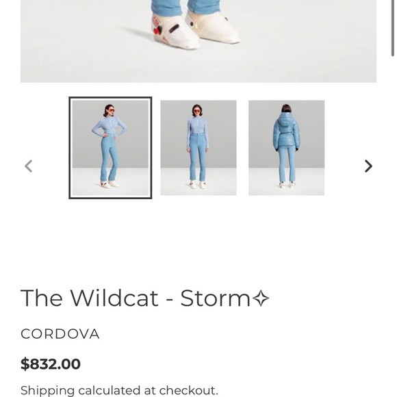 Cordova womens ski pants the wildcat softshell suit - Picture 3 of 10